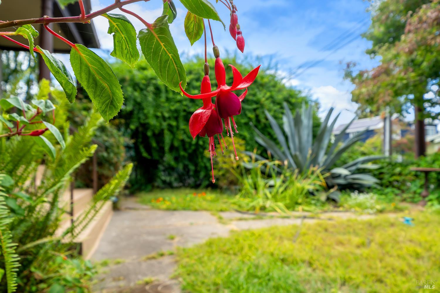 1614 Russell Street Berkeley CA 94703