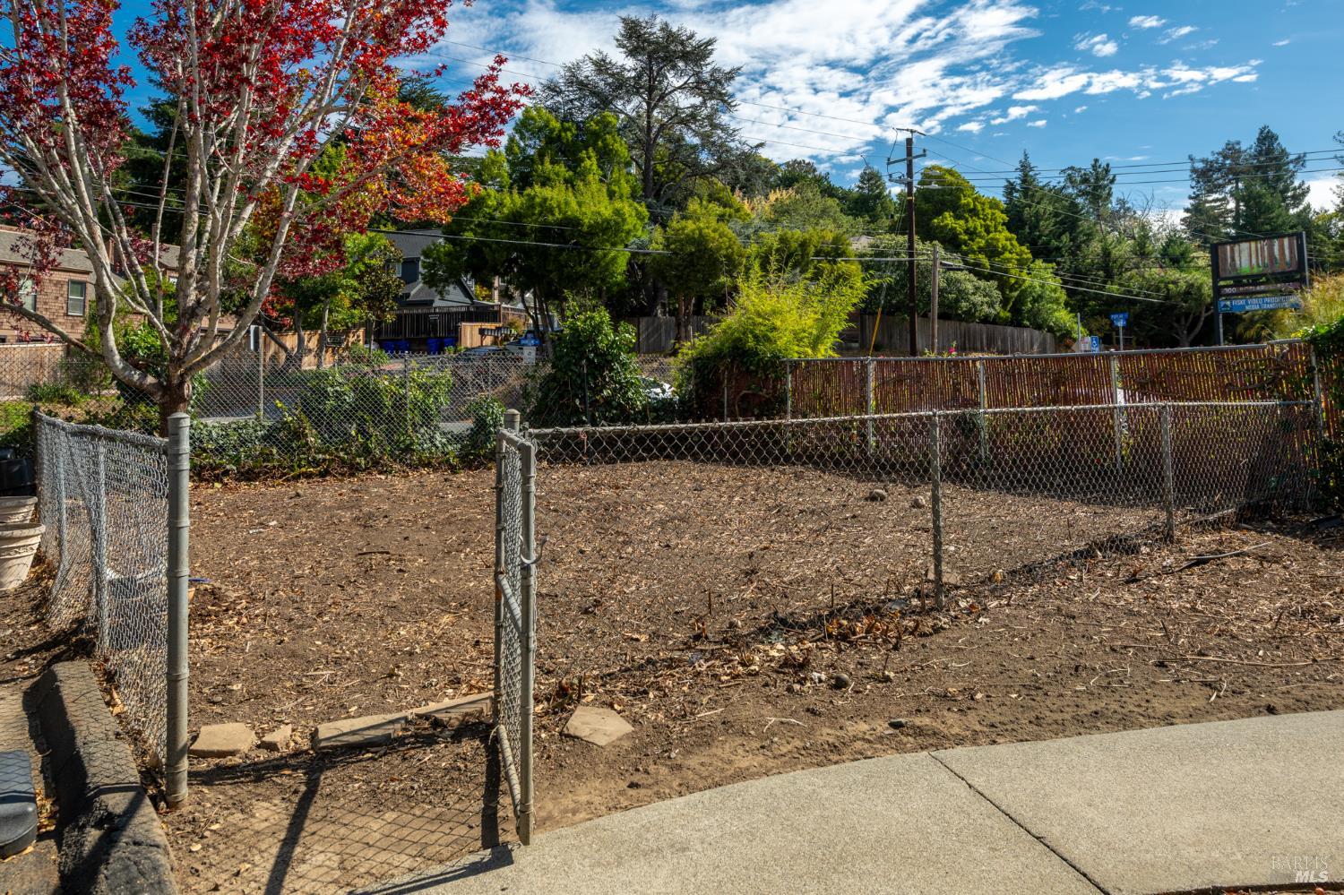 401 Pine Street Mill Valley CA 94941