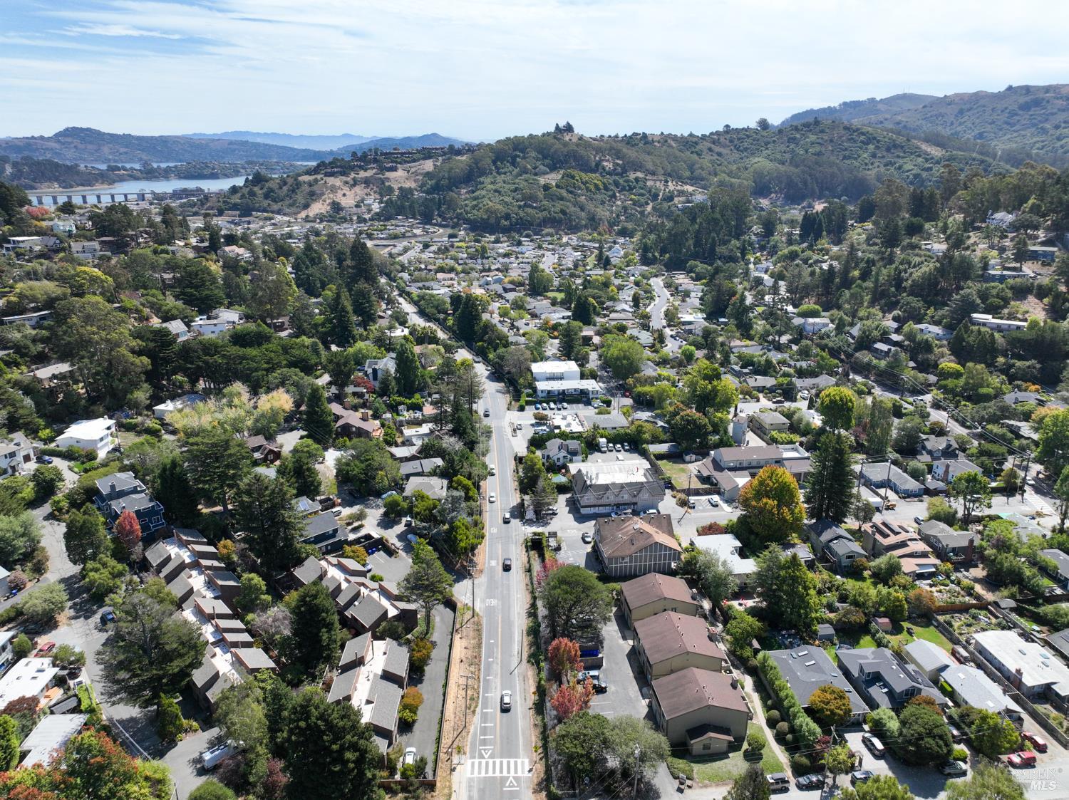 401 Pine Street Mill Valley CA 94941