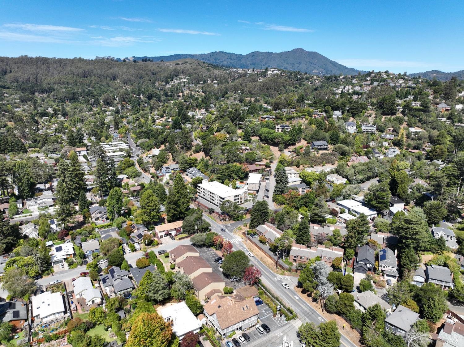 401 Pine Street Mill Valley CA 94941