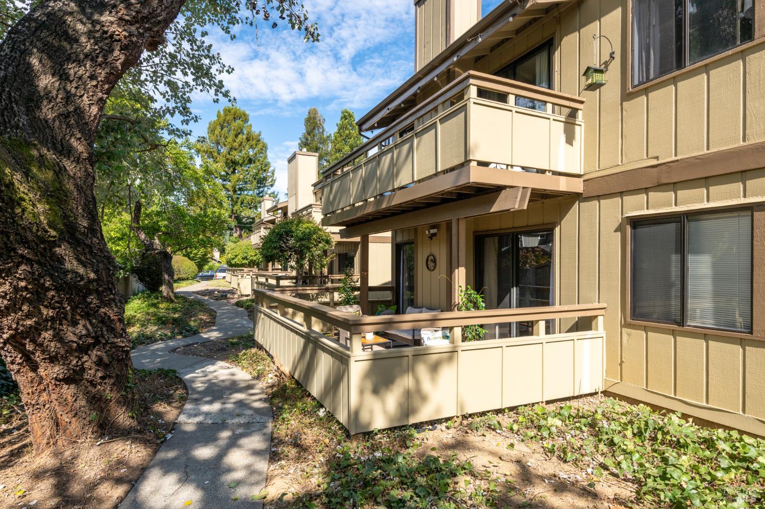401 Pine Street Mill Valley CA 94941