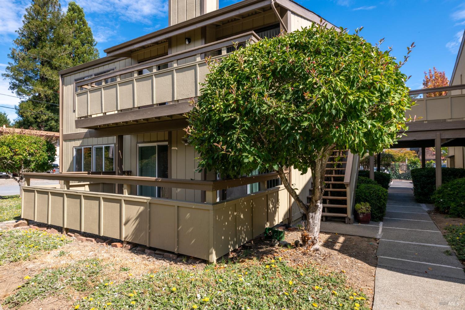 401 Pine Street Mill Valley CA 94941