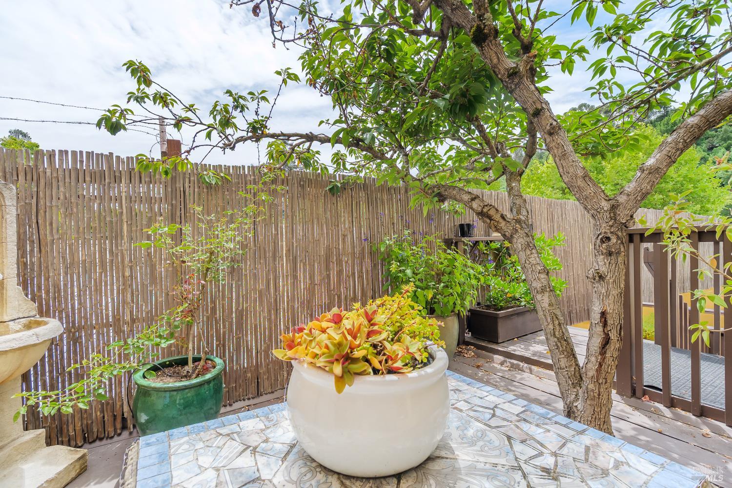 2022 4th Street San Rafael CA 94901