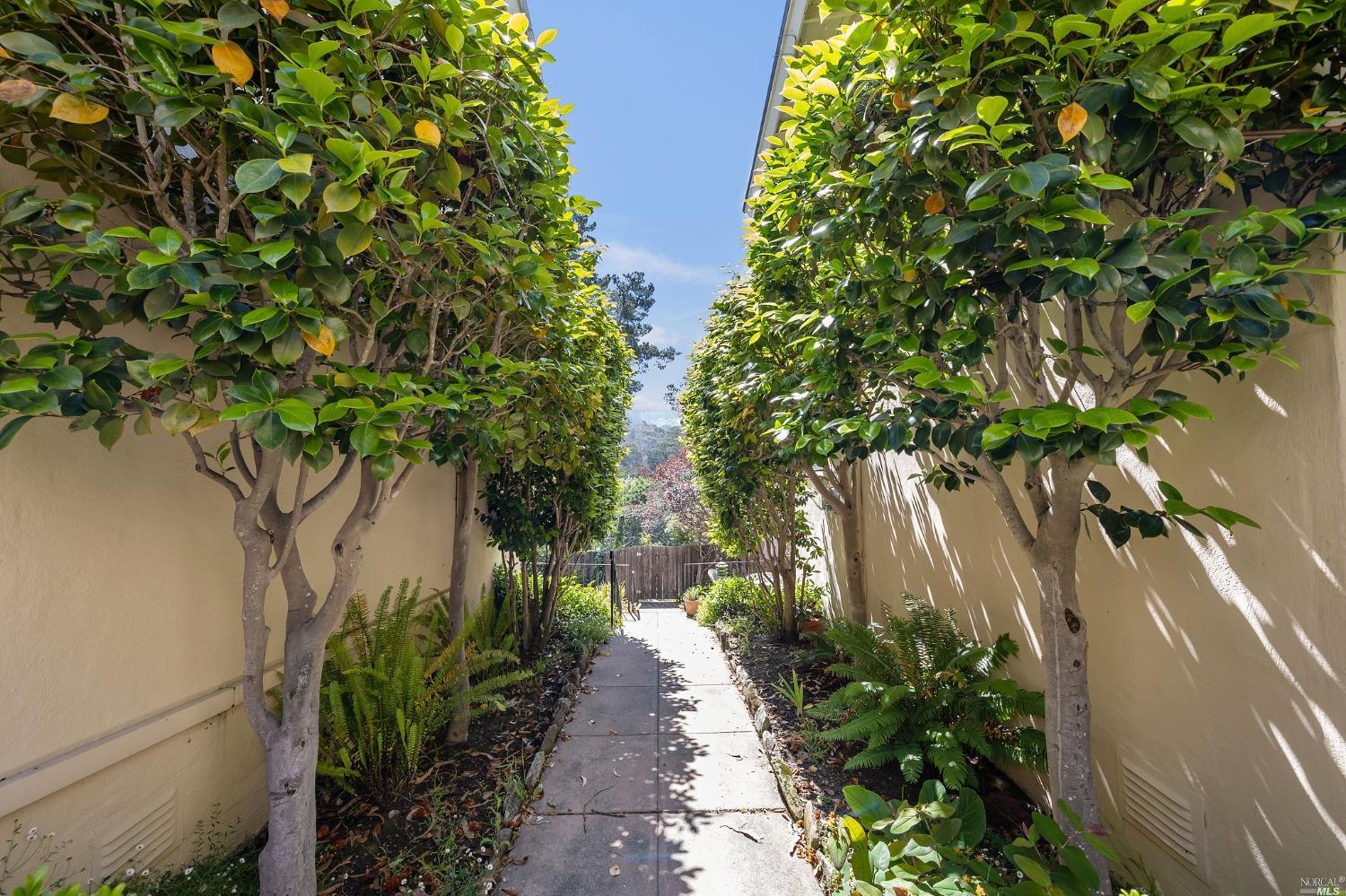 343 Somerset Road Oakland CA 94611