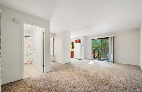 14571 Canyon 1 Road Guerneville CA 95446