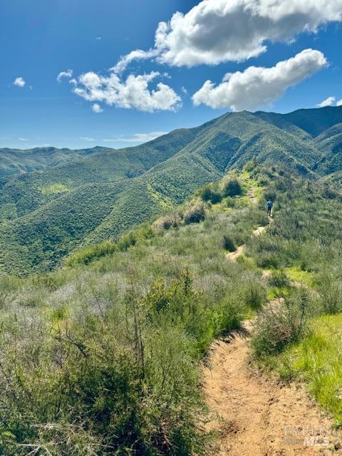 8560 Holmes Lane Winters CA 95694