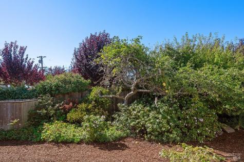 40-42 Arenal Avenue Stinson Beach CA 94970