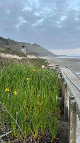 40-42 Arenal Avenue Stinson Beach CA 94970