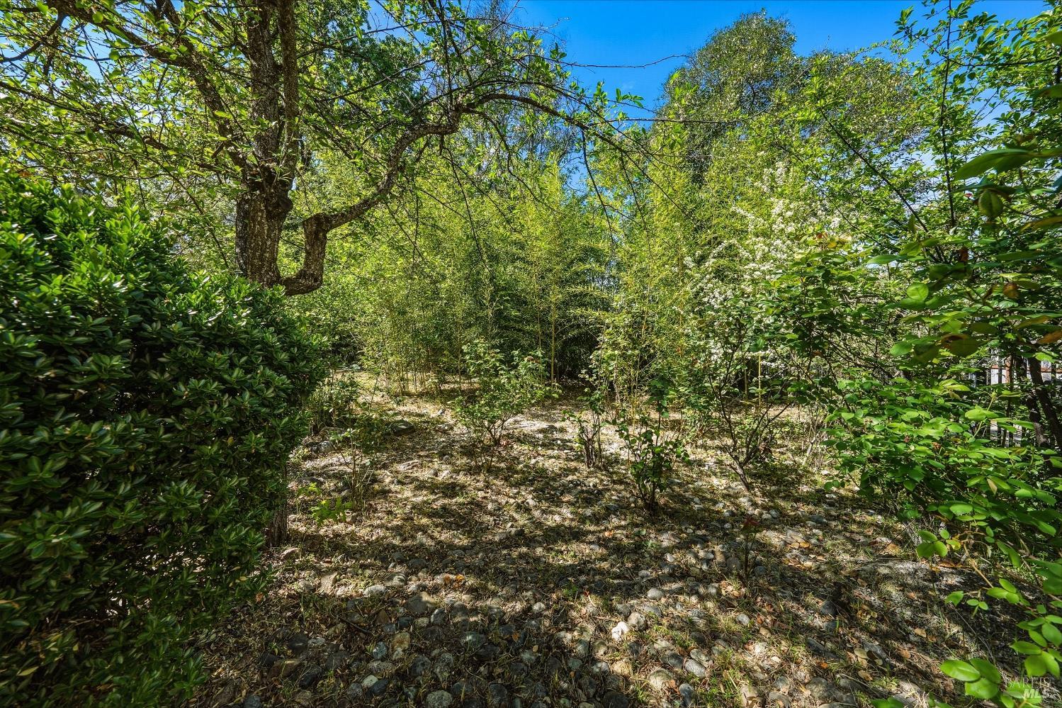 150 Clearlake Avenue Lakeport CA 95453