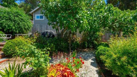 1348 Grand Avenue San Rafael CA 94901
