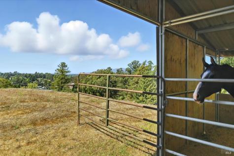 411 Highland Avenue Penngrove CA 94951