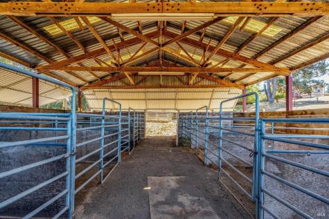 411 Highland Avenue Penngrove CA 94951