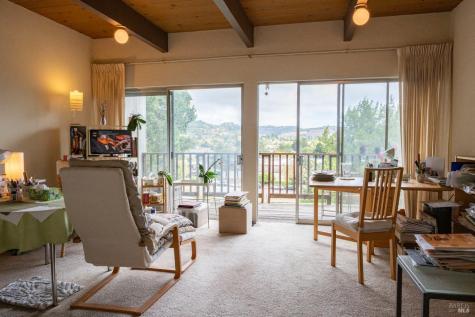 14 Gomez Way Mill Valley CA 94941