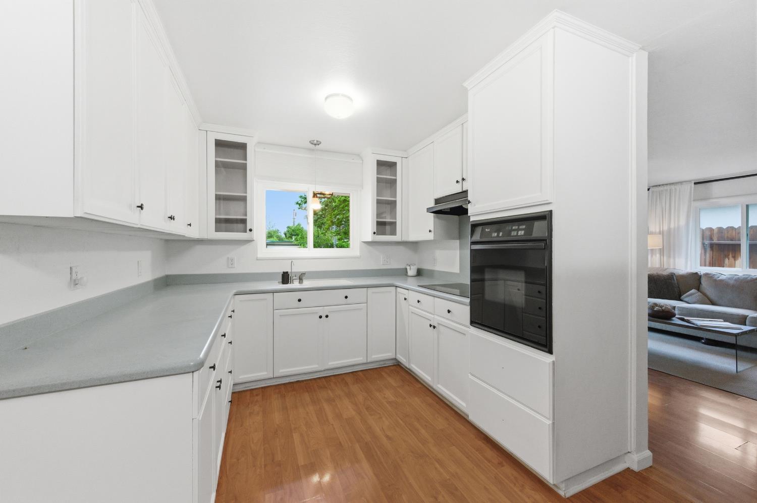 1301 Chestnut Lane Davis CA 95616