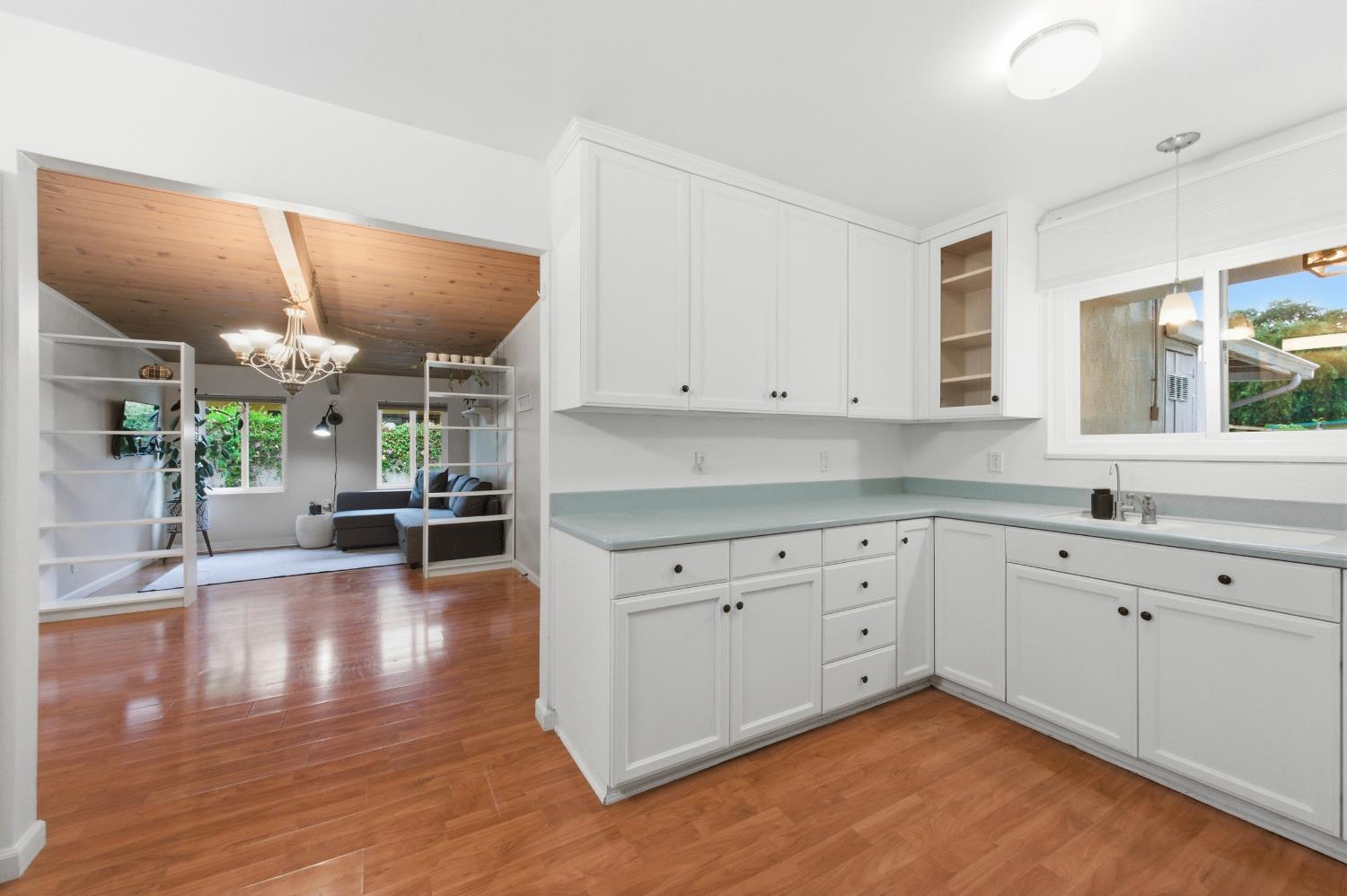 1301 Chestnut Lane Davis CA 95616