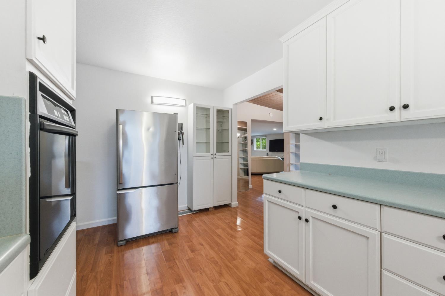 1301 Chestnut Lane Davis CA 95616