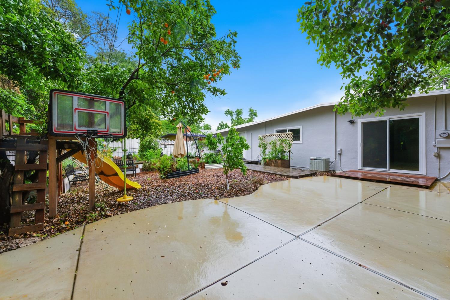 1301 Chestnut Lane Davis CA 95616