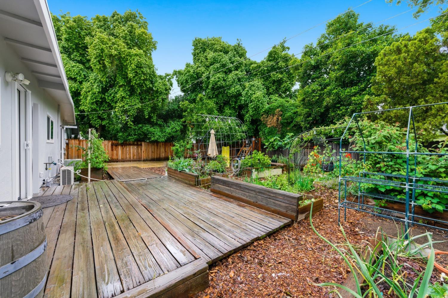 1301 Chestnut Lane Davis CA 95616