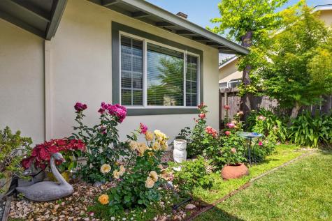 1435 Ivy Lane Petaluma CA 94954