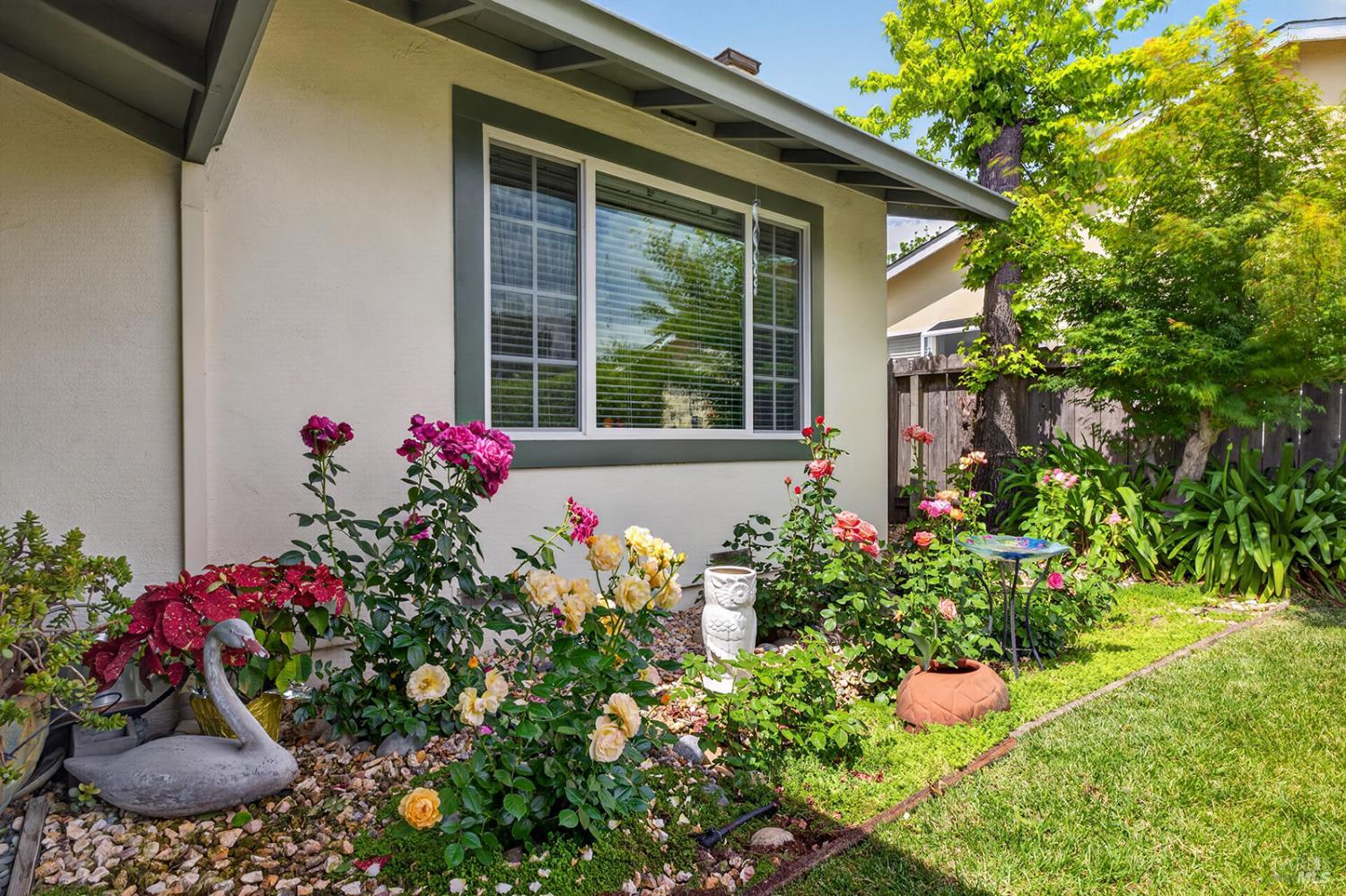 1435 Ivy Lane Petaluma CA 94954