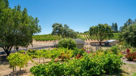 961 Chiquita Road Healdsburg CA 95448