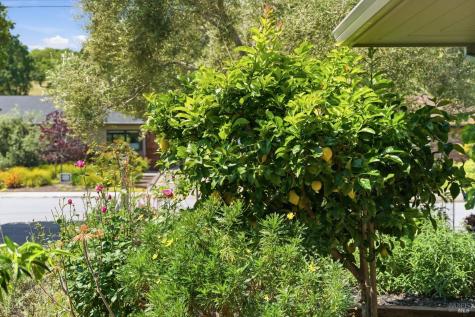 2418 Grahn Drive Santa Rosa CA 95404