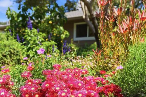 2418 Grahn Drive Santa Rosa CA 95404