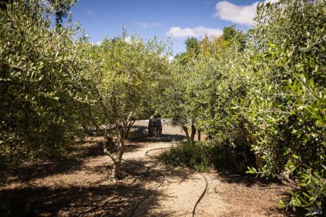 8811 Egg Farm Lane Kenwood CA 95452