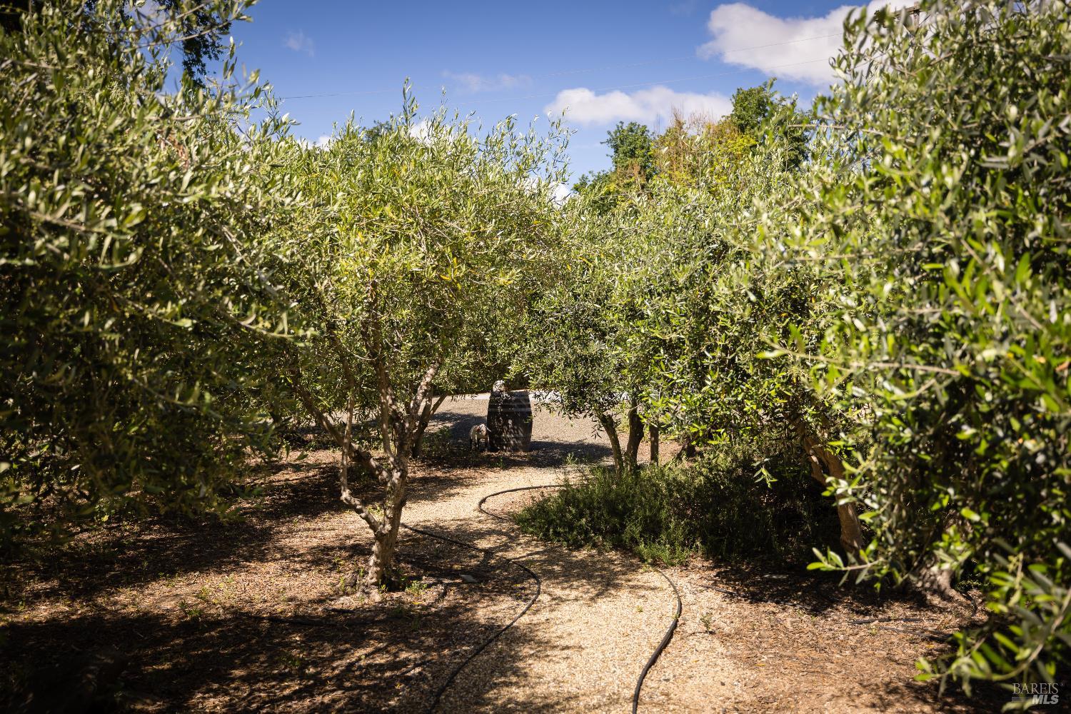 8811 Egg Farm Lane Kenwood CA 95452