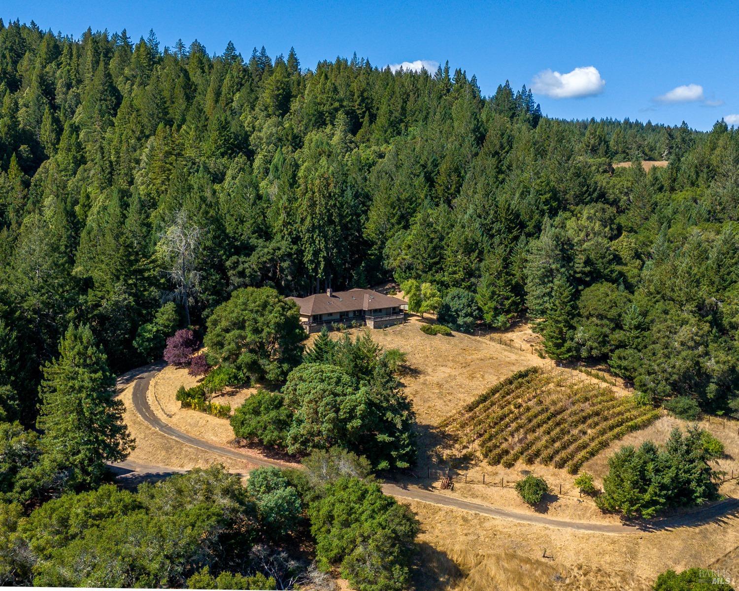 10580 Anderson Valley Way Boonville CA 95415