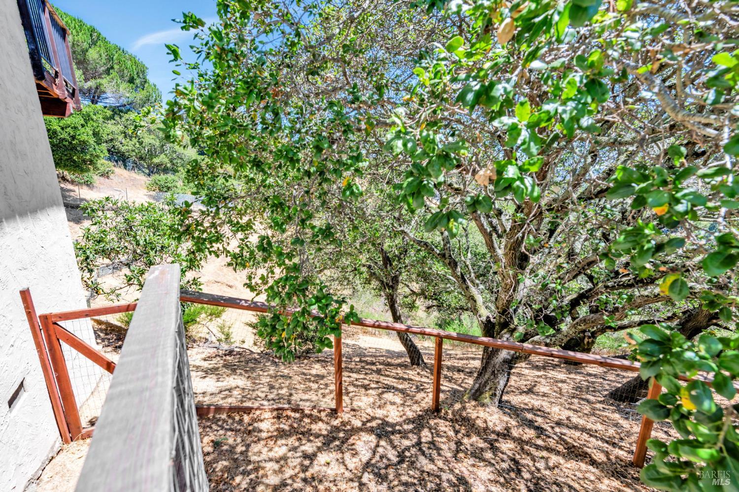 155 Dominican Drive San Rafael CA 94901