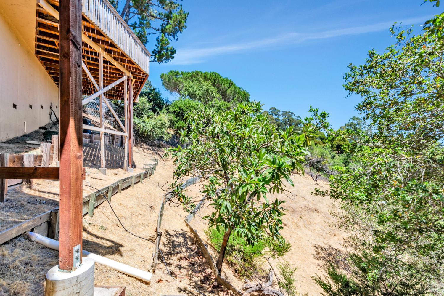 155 Dominican Drive San Rafael CA 94901