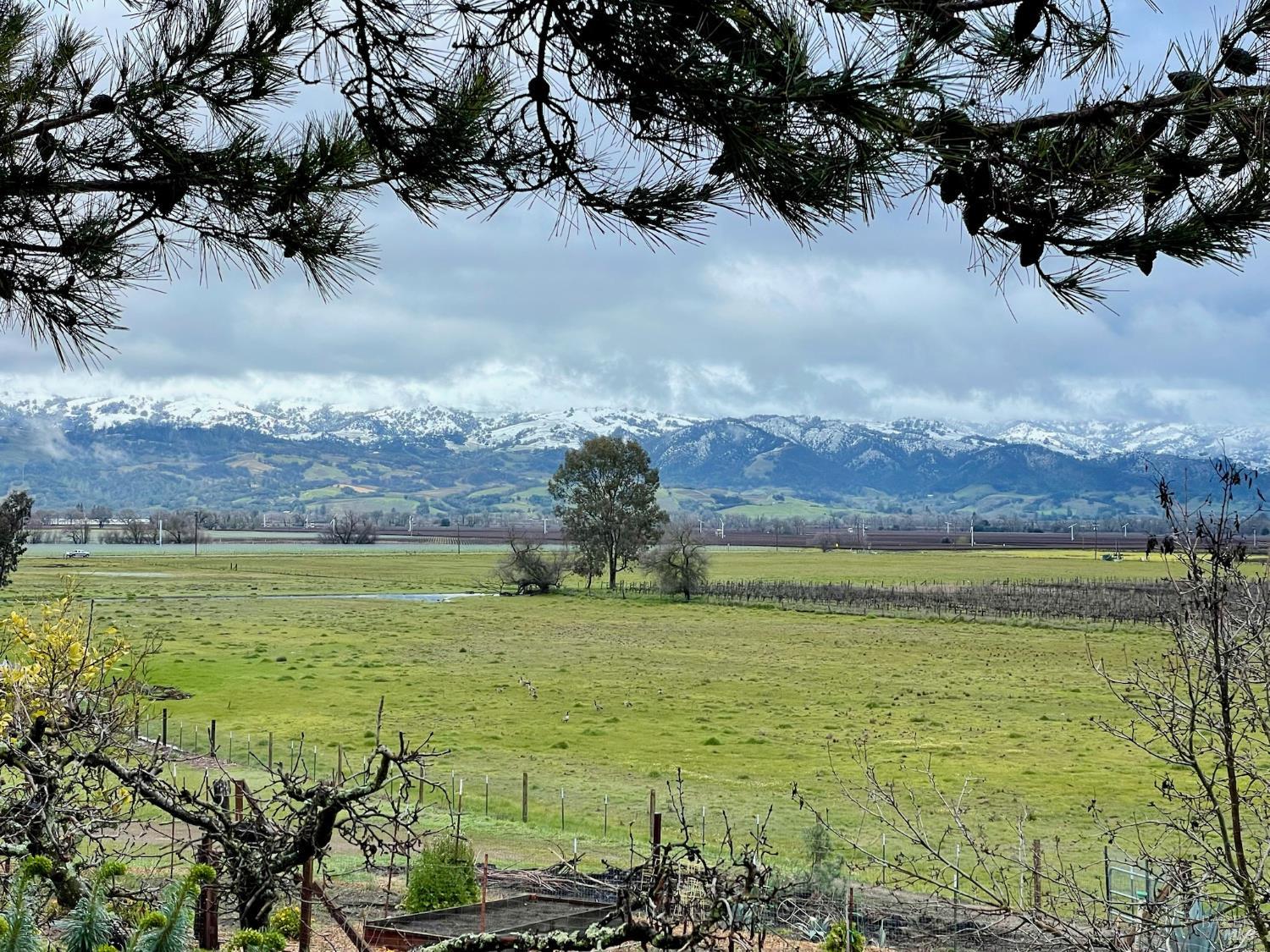 17698 Healdsburg Avenue Healdsburg CA 95448