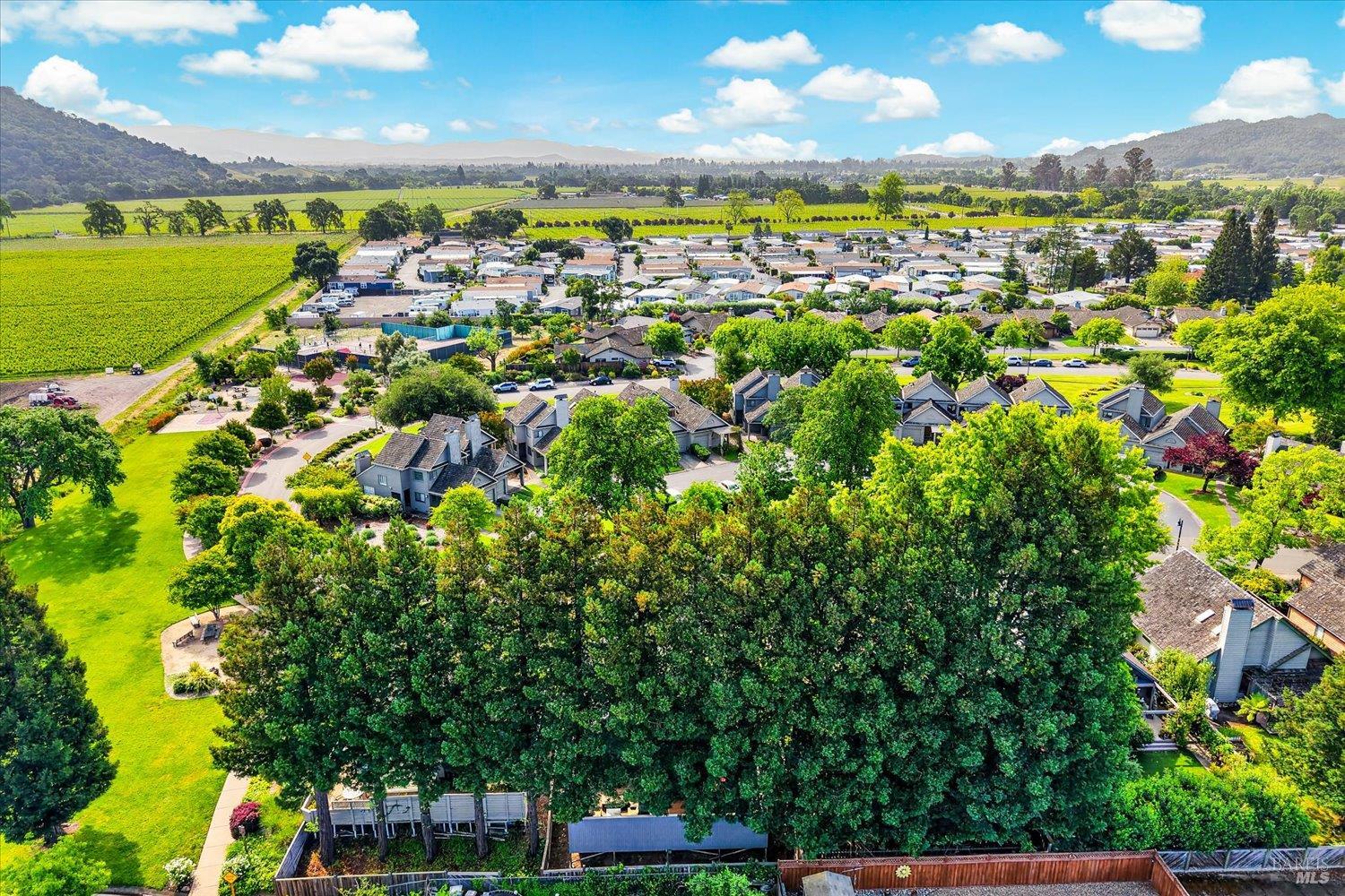 1866 Oak Circle Yountville CA 94599