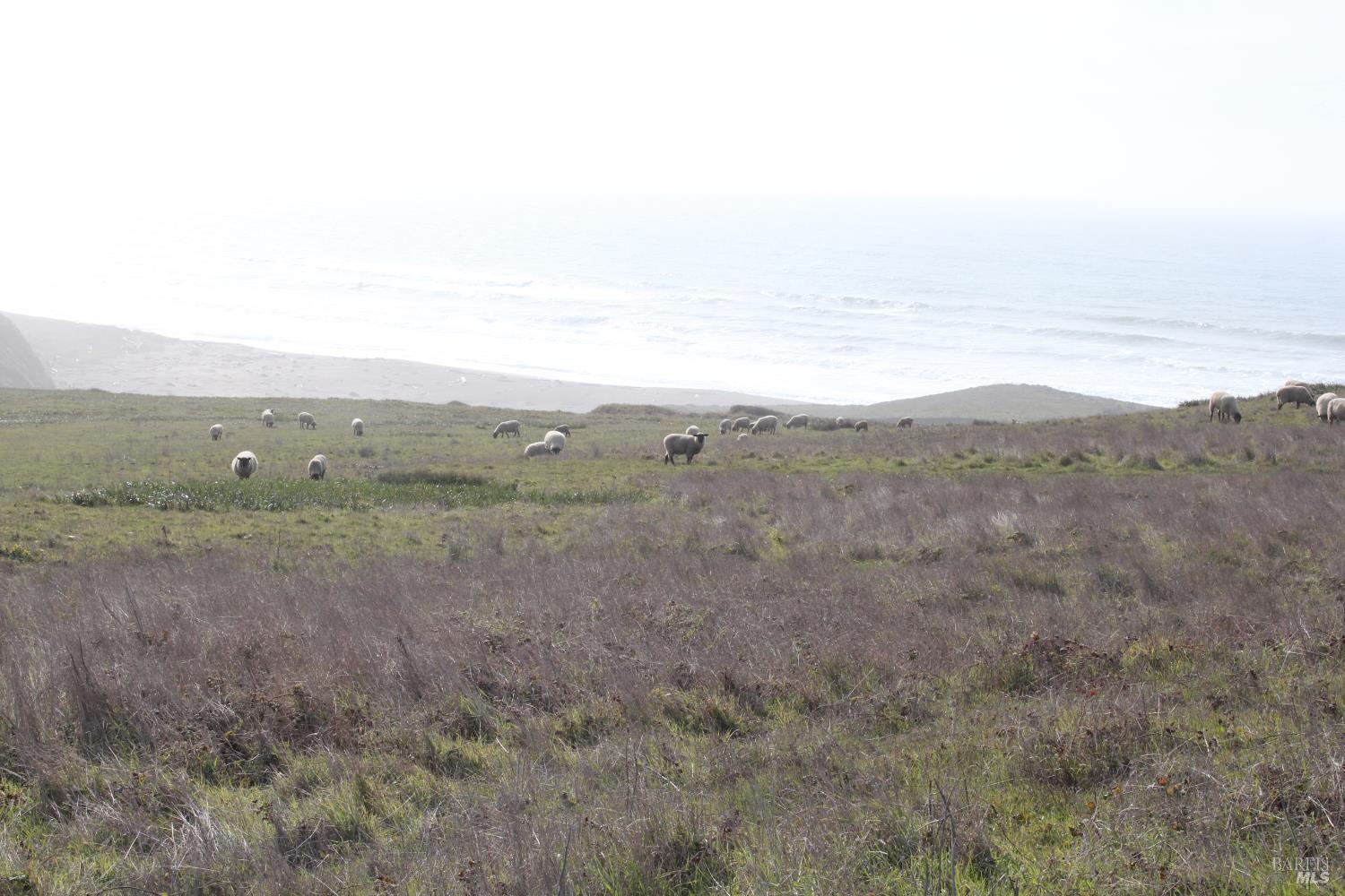 16400 S Highway 1 Highway Manchester CA 95459