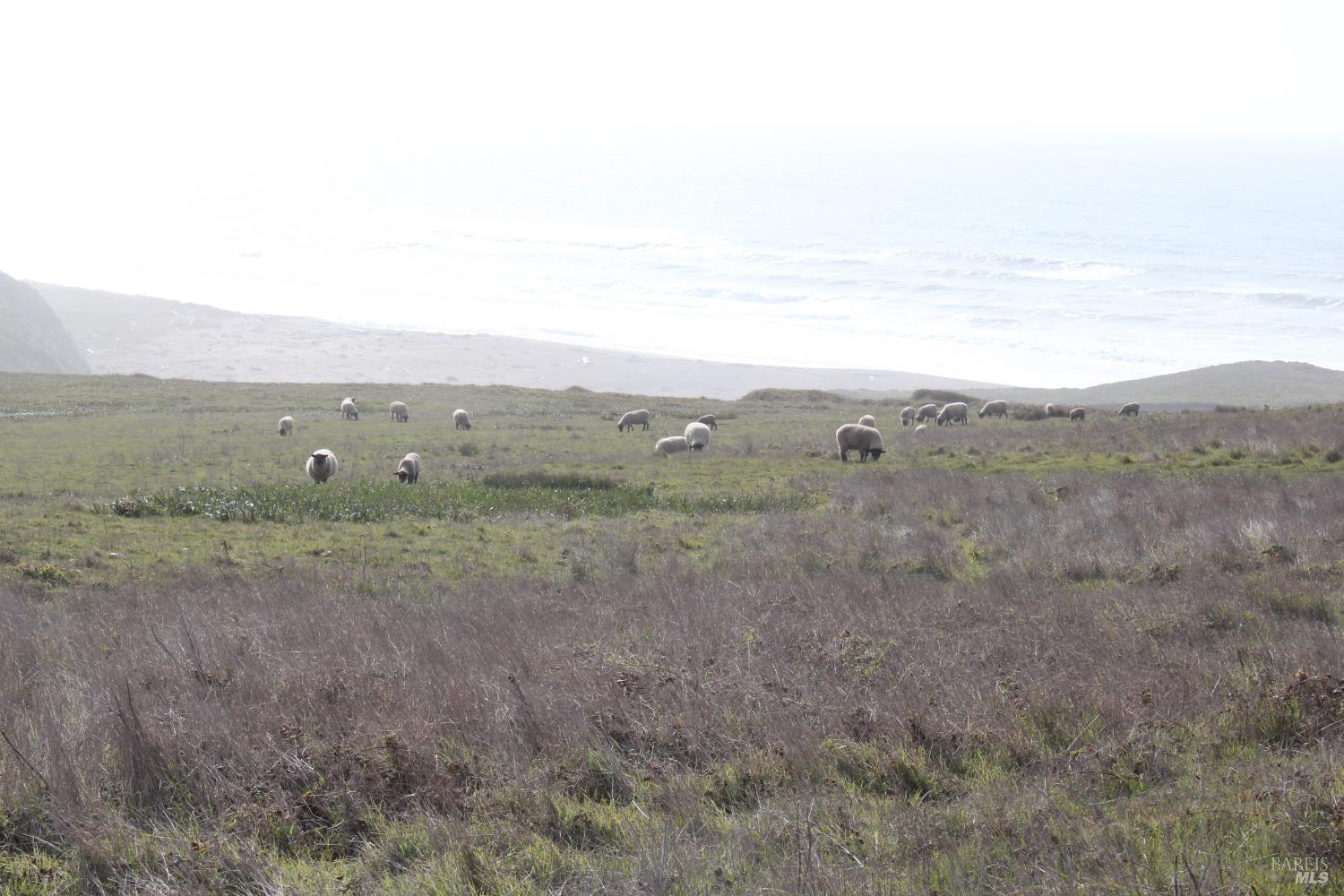 16400 S Highway 1 Highway Manchester CA 95459