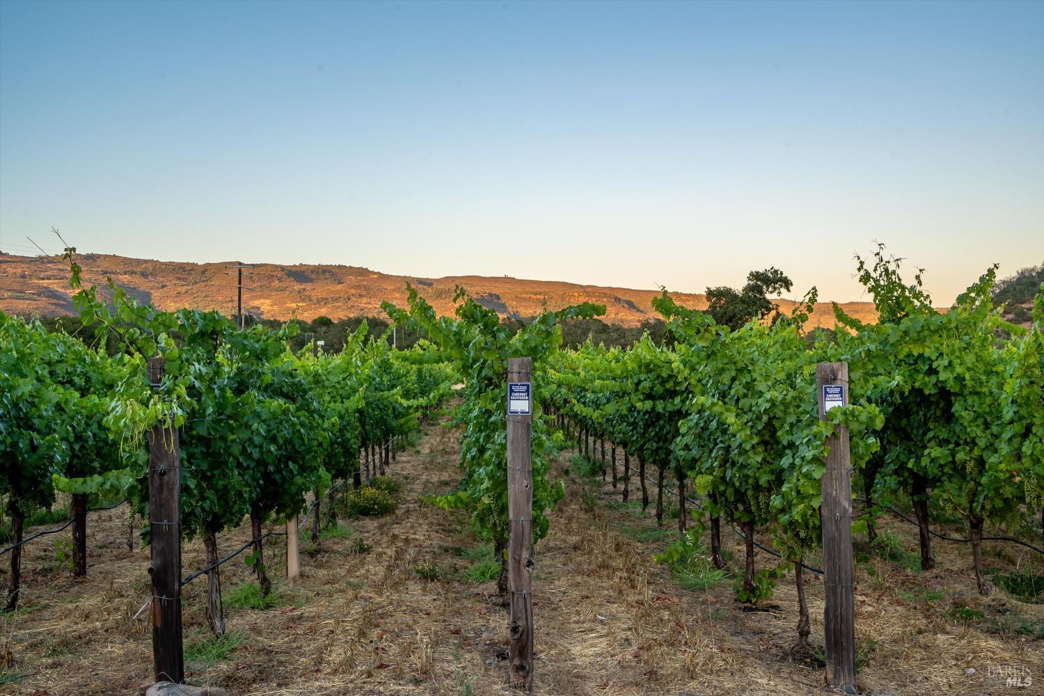 2929 Atlas Peak Road Napa CA 94558