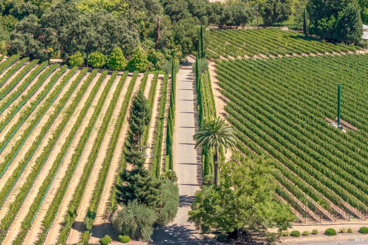 3242 Silverado Trail N St. Helena CA 94574