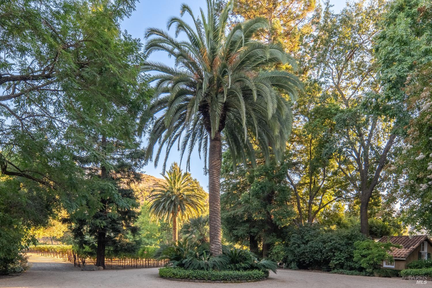 3242 Silverado Trail N St. Helena CA 94574