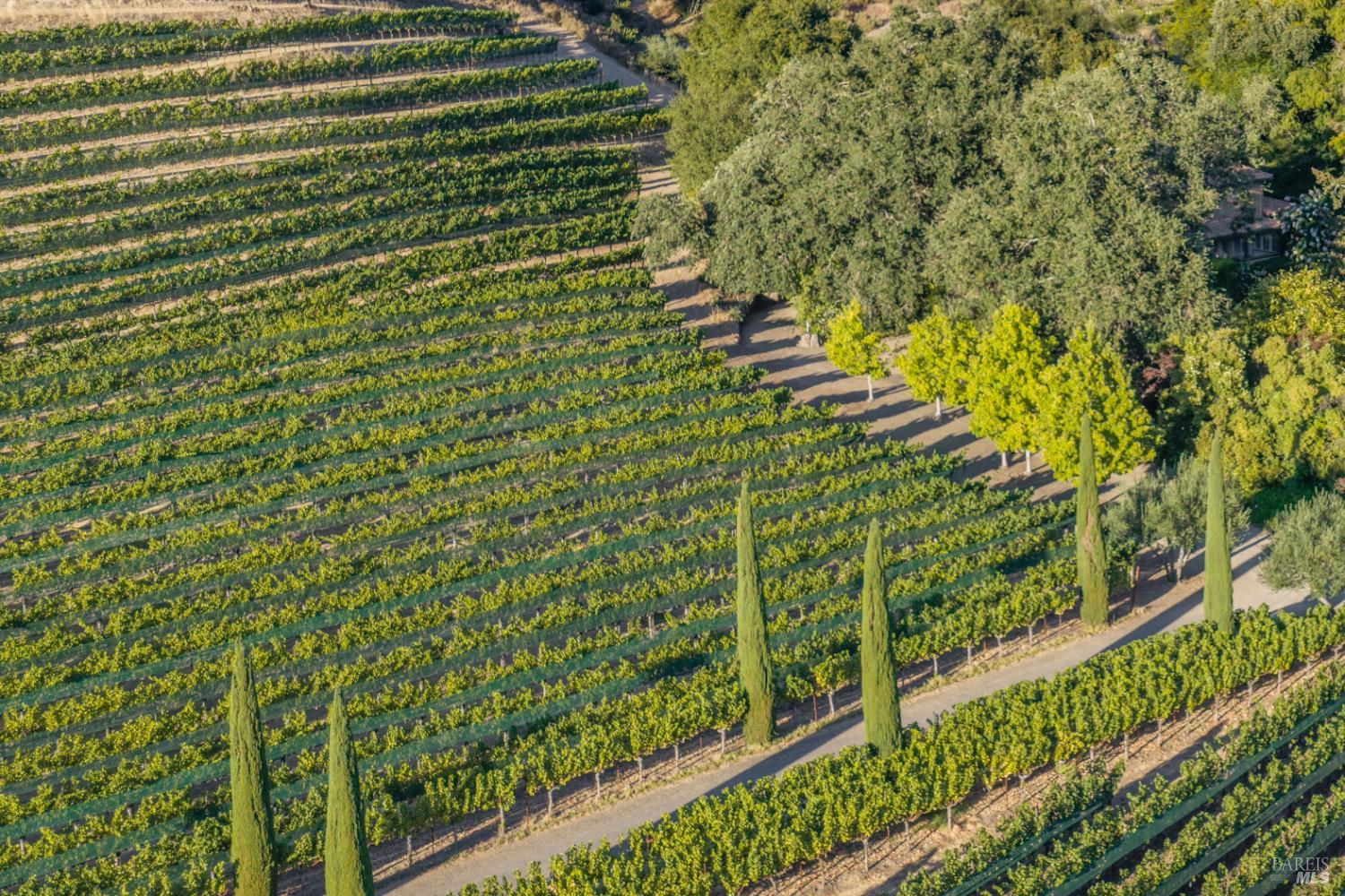 3242 Silverado Trail N St. Helena CA 94574