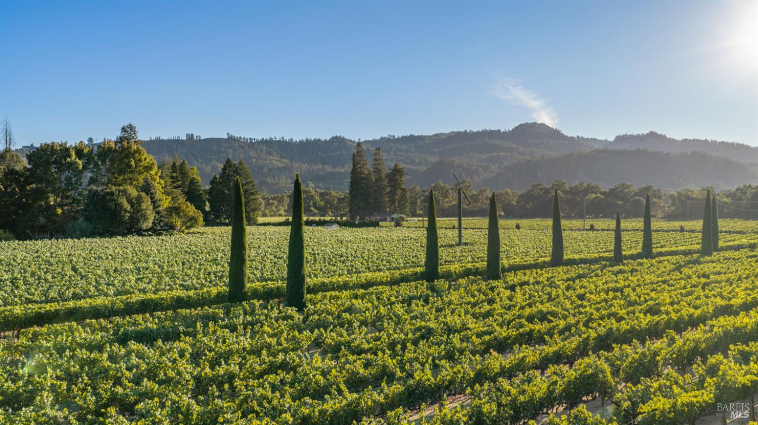 3242 Silverado Trail N St. Helena CA 94574