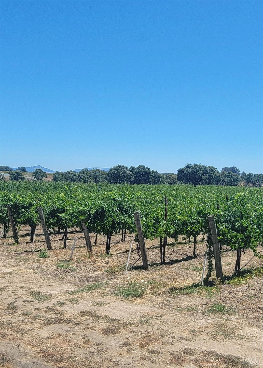 2892 Mark West Station Road Windsor CA 95492