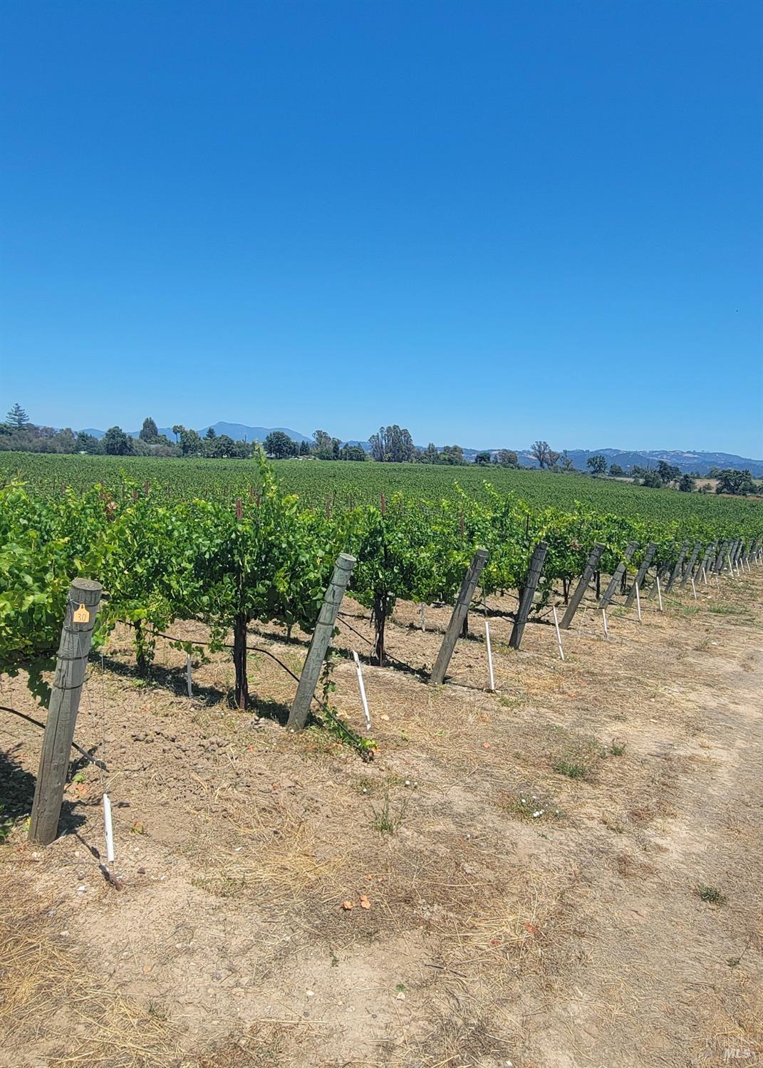 2892 Mark West Station Road Windsor CA 95492
