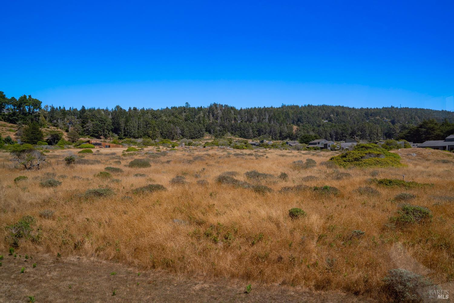 64 Whalers Reach The Sea Ranch CA 95497