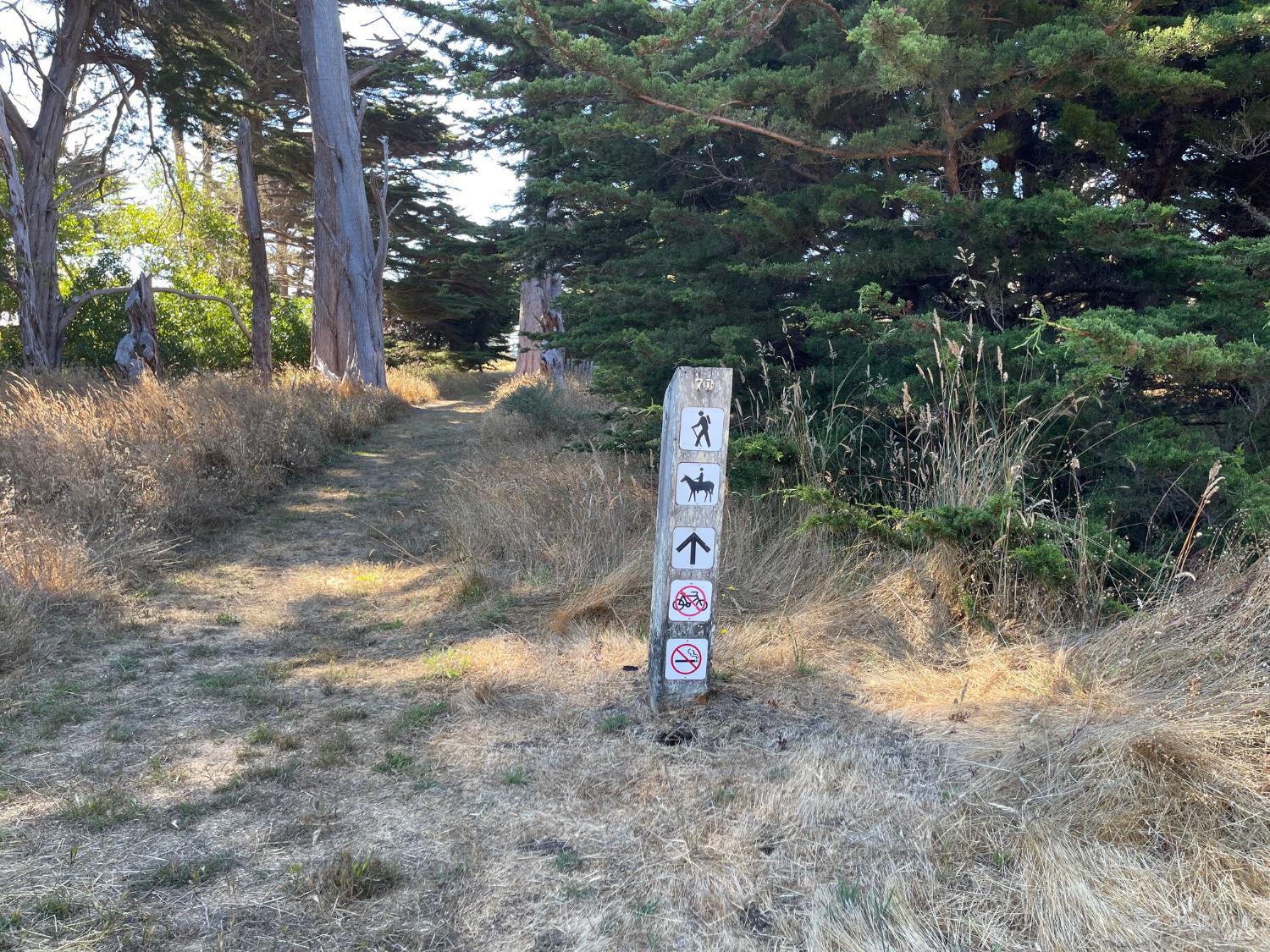 64 Whalers Reach The Sea Ranch CA 95497