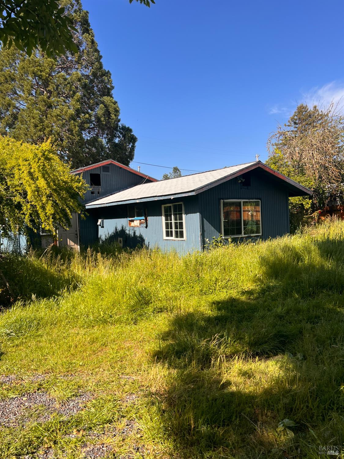 481 Della Avenue Willits CA 95490
