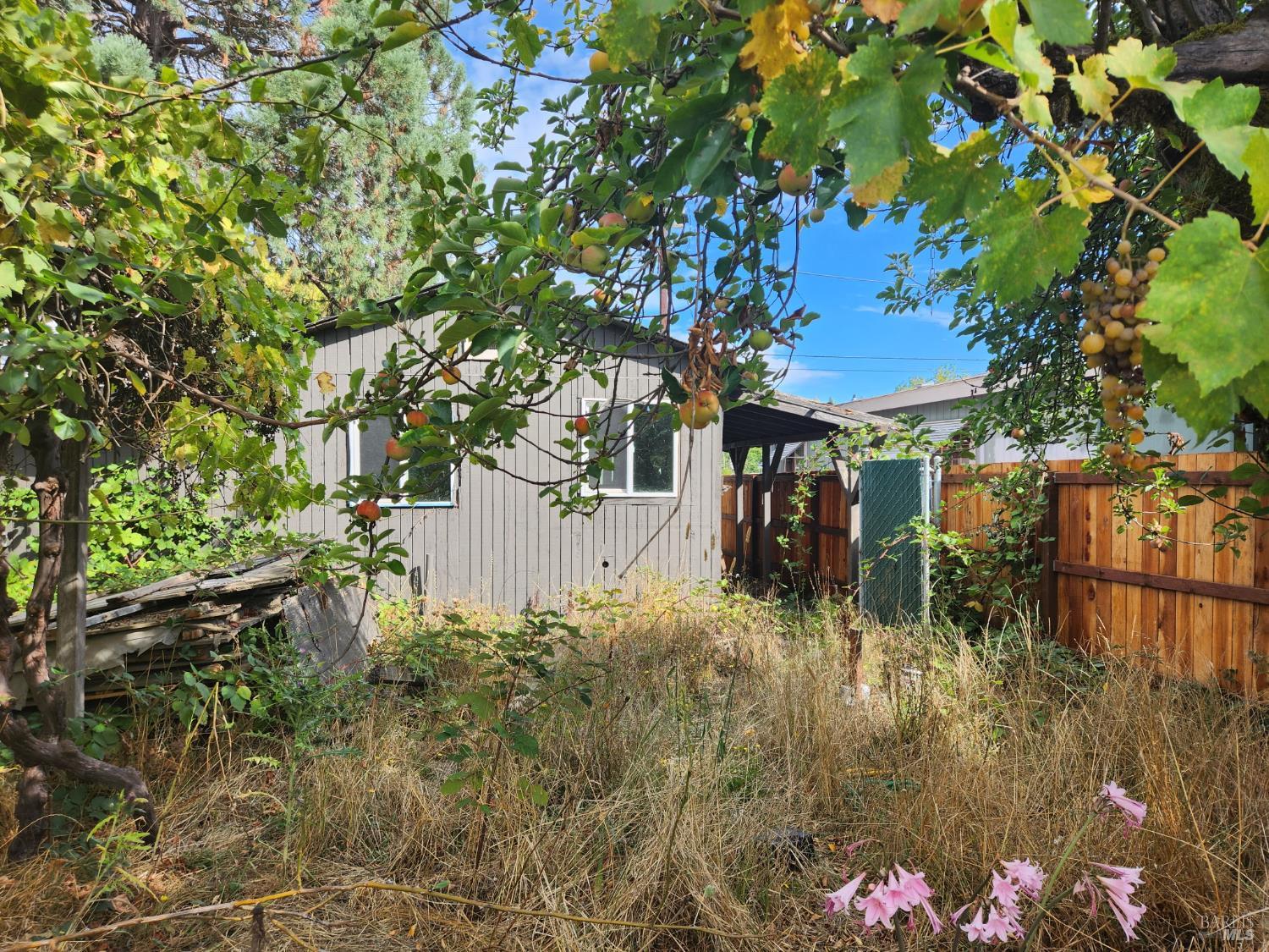 481 Della Avenue Willits CA 95490