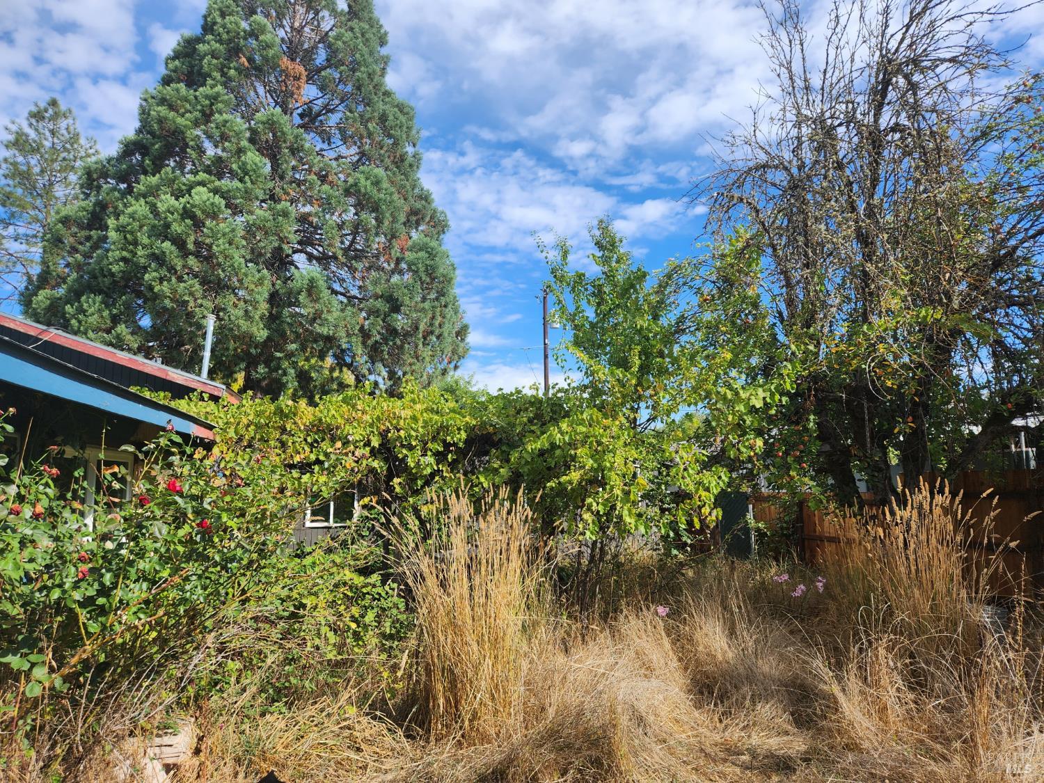 481 Della Avenue Willits CA 95490