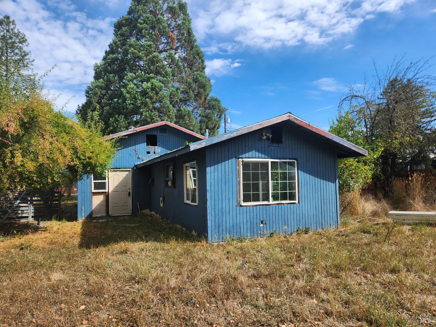 481 Della Avenue Willits CA 95490