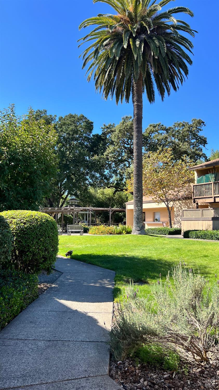 193 Verano Avenue W Sonoma CA 95476